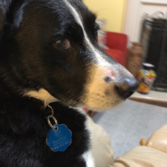 NOT FOR SALE - Picture 1 of 1